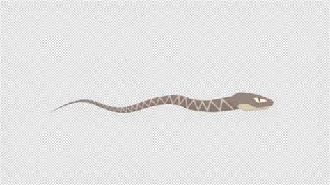 Animation of an animal snake. Cartoon | Stock Video | Pond5