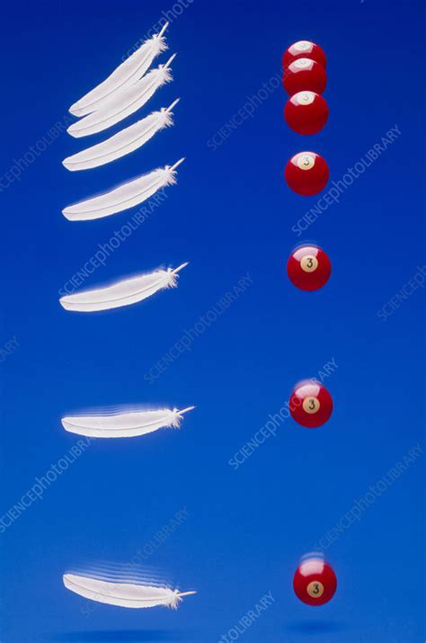 Gravity: feather & ball falling - Stock Image - A350/0117 - Science Photo Library