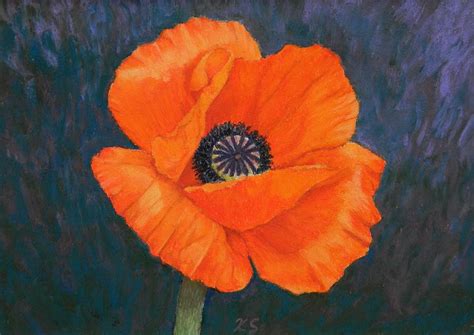 Orange Poppy Painting by Xenia Sease - Fine Art America