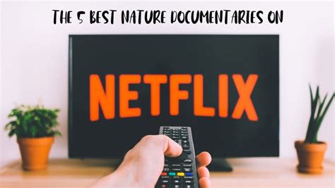 The 5 Best Nature Documentaries on Netflix | One Life Adventures