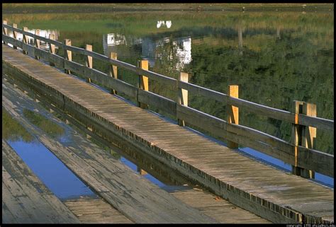 floating-bridge-brookfield-vermont-8