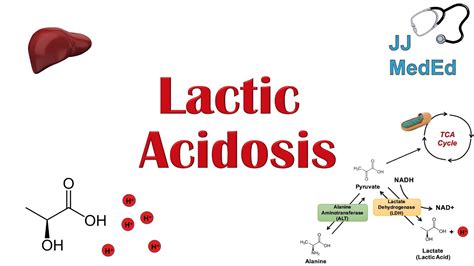 Lactic Acidosis: What is it, Causes (ex. metformin), and Subtypes A vs B - YouTube