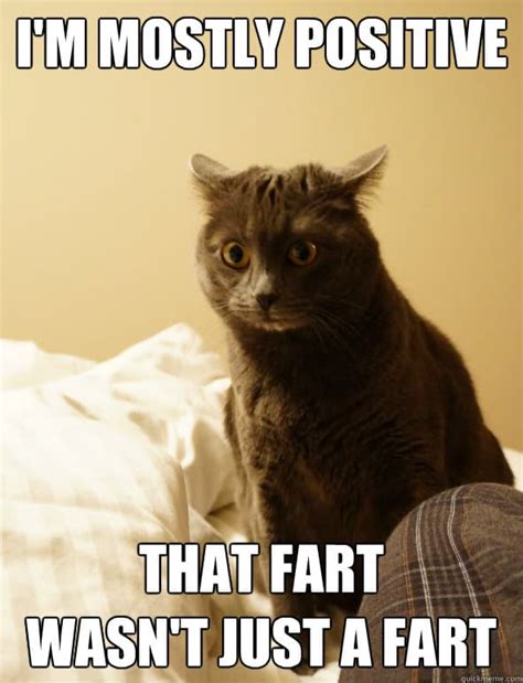 35 Fart Memes That Will Make You Stop and Laugh - SayingImages.com