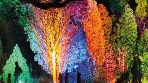 Lightscape at Royal Botanic Gardens Victoria, Event, Melbourne, Victoria, Australia