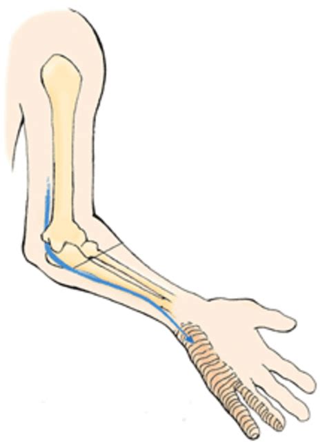 Ulnar nerve damage - Symptoms, Treatment, Surgery, Recovery time