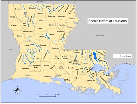 Louisiana Bayou Map