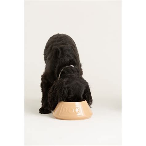 Mason Cash Spaniel Bowl 210mm - Pedigree Wholesale Ltd