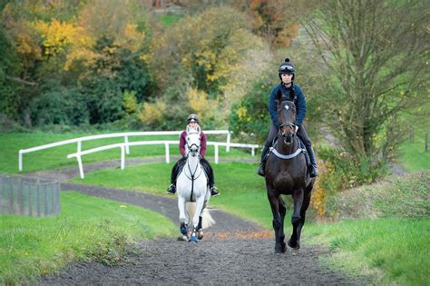 7 reasons to ride on the gallops, whether your horse competes or not ...