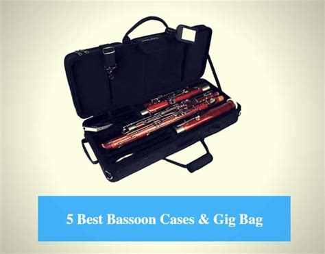 5 Best Bassoon Case Reviews 2022 (Best Bassoon Gig Bag) - CMUSE