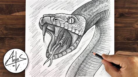 How To Draw A Snake | Sketch Tutorial - YouTube