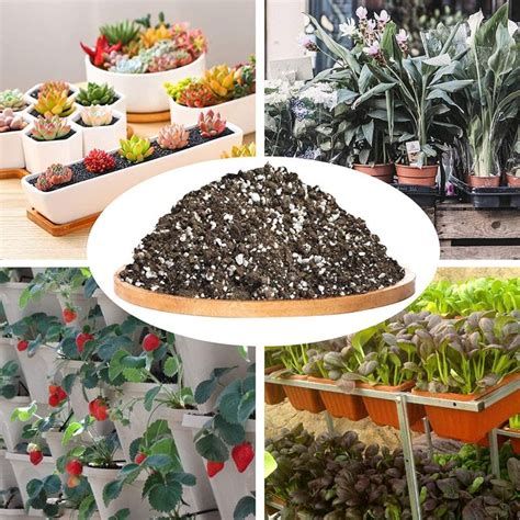 A Guide to Potting Soil: Tips for Planting and Growing