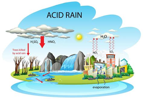 Outline The Process Of Acid Rain Formation