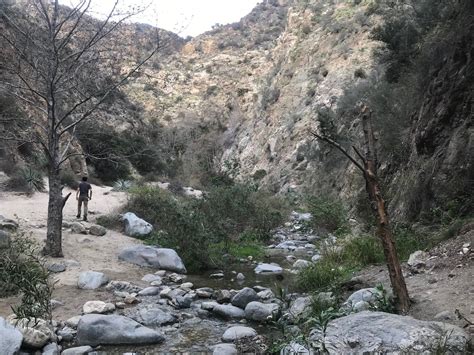 Eaton Canyon Falls: Pasadena's Infamous Waterfall Hike