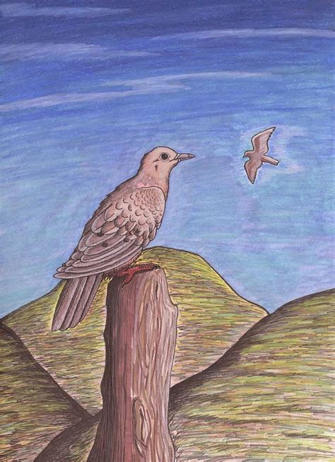 Mourning Doves Drawing by Nicole Graffam - Fine Art America