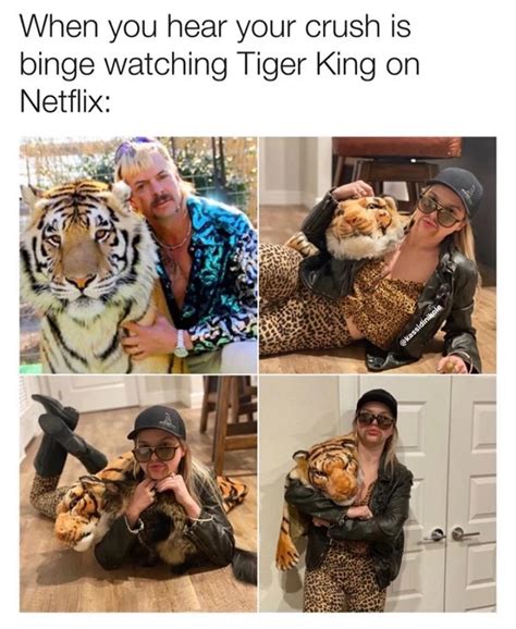 A Collection of the Very Best Netflix's Tiger King Memes