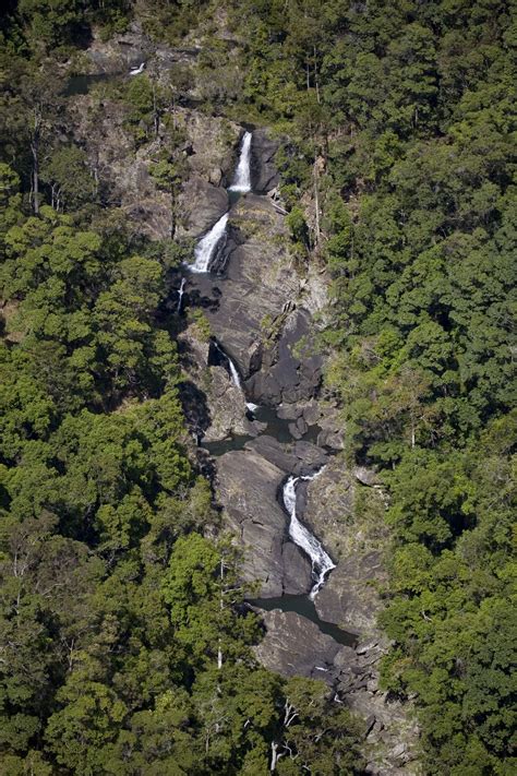 Conondale National Park | Parks and forests | Department of Environment, Science and Innovation ...