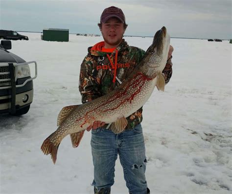 Lake of the Woods Ice Fishing Report - Visit Warroad, MN