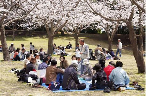 What is Hanami?