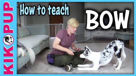 How To Train Your Dog Tricks At Home