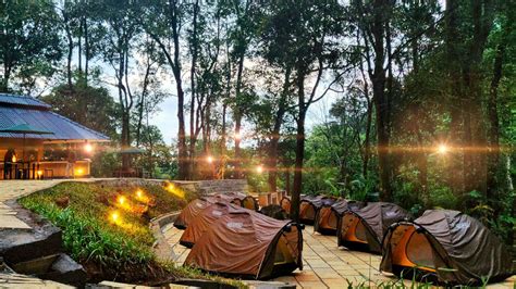 Camping In Wayanad - Tent Stay in Kerala