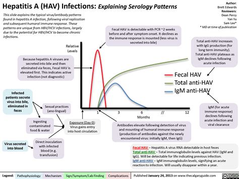 HAV Serology | Calgary Guide