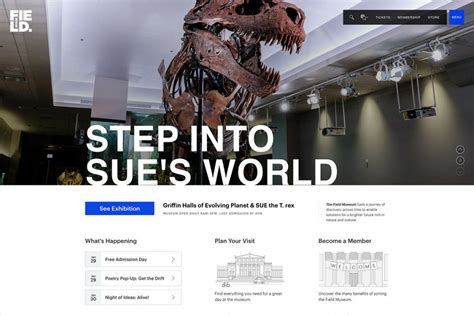 20 Best Museum Website Designs For Inspiration 2021 - Colorlib