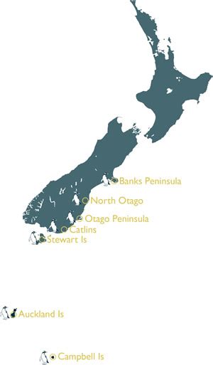 Distribution and habitat - Yellow-eyed Penguin Trust