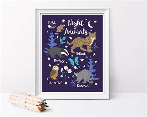 Night Animals Poster // Nocturnal Animals Print // Animal Wall - Etsy