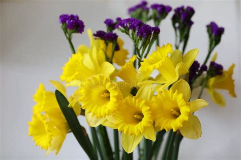 Yellow Spring Flowers Easter Holiday Narcisus Stock Photo - Image of ...