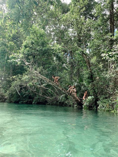 Weeki Wachee Kayaking | Florida blog | Fresh Mommy Blog