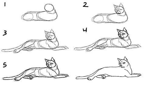How to draw a cat step by step - 10 drawing tutorials for beginners ...