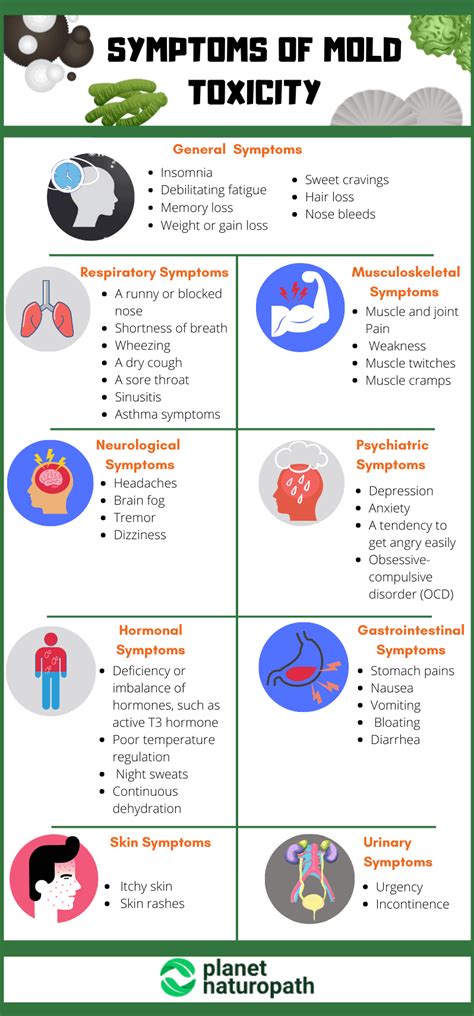 Symptoms of inhaling mold