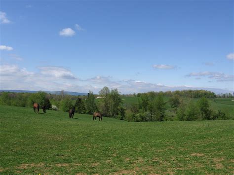 MIddleburg, VA | Natural landmarks, Middleburg, Nature