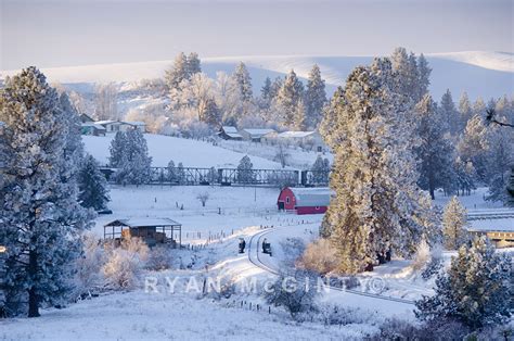 Palouse Winter Frost | Palouse, Washington. Freezing fog beg… | Flickr