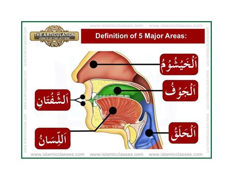 Articulation Points of Arabic Alphabet Letters, Makharij ul Huruf