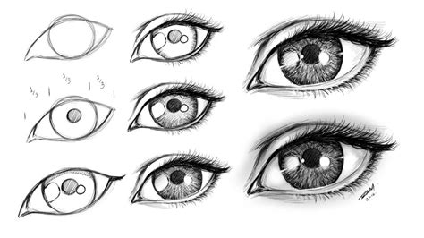 Step By Step Realistic Eye at Drawing Tutorials