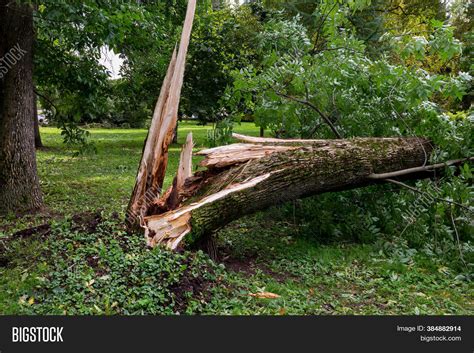 Strong Stormy Wind Image & Photo (Free Trial) | Bigstock