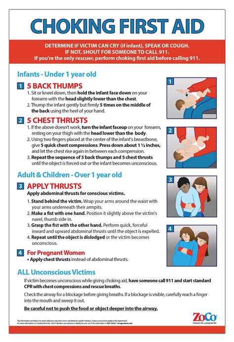 Buy Choking for Infant, Child, Adult - Laminated, 12 x 18 inches - Heimlich Maneuver for ...