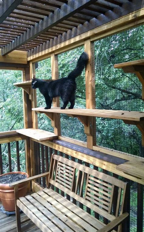 17 Best images about Catios and Cat Enclosures on Pinterest | Play pen, Outdoor cat houses and ...