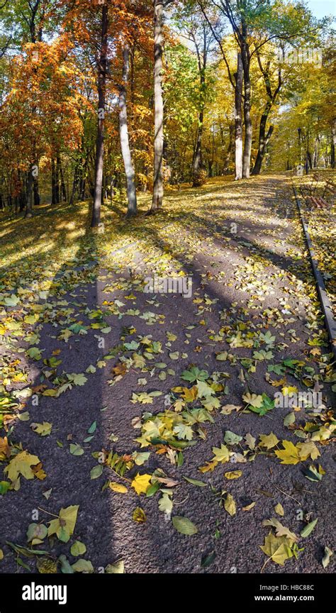 Autumn city park Stock Photo - Alamy