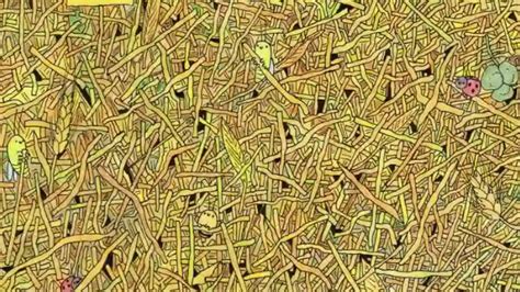 Optical Illusion IQ Test: Can You Find The Needle In A Haystack Within ...