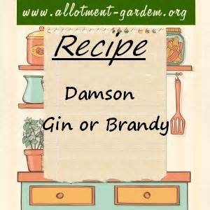 Damson Gin or Brandy Recipe - How to Make Damson Gin