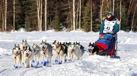 2022 Iditarod Dog Sled Race | Willow Alaska