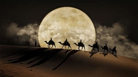 Desert Camel HD Wallpapers - Top Free Desert Camel HD Backgrounds - WallpaperAccess