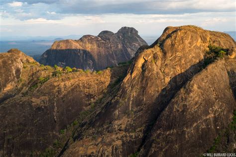 Niassa Reserve | Photos Pictures Images