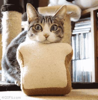 Mlem GIF - Find & Share on GIPHY