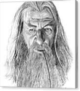 Gandalf photo realistic pencil drawing Drawing by Adam Hartley