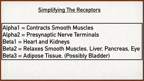 Beta Adrenergic Receptors: Types, Function, Location, Stimulation Effects Made Easy - Austin ...