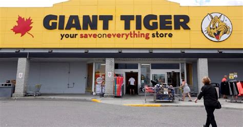 Win A $500 Giant Tiger Gift Card • Canadian Savers