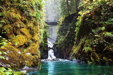 Olympic National Park Camping | Survival Life